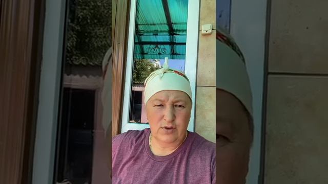 Мама Жанна показала свої троянди та готувала тортик з пряників. смотреть онлайн