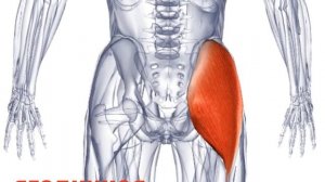 Закидывание ноги после инсульта. Упражнения .