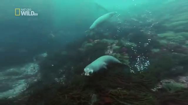 великие реки