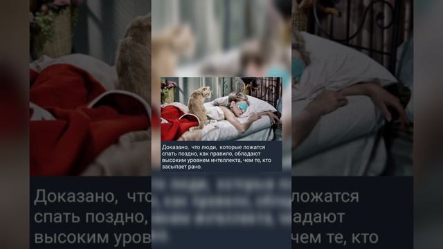 Доказано,  что люди,  которые ложатся спать поздно, как правило, обладают высоким уровнем интеллект