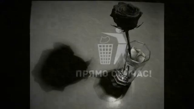 ЧЕРНАЯ РОЗА В ГРАНЁНОМ СТАКАНЕ.