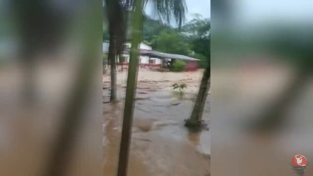 Tourists are shocked! Flooding and landslides in Malaysia Kedah смотреть онлайн