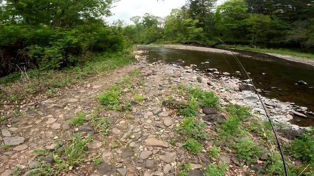 Прогулка и рыбалка на живописной горной речке Приморского края. 4K смотреть онлайн