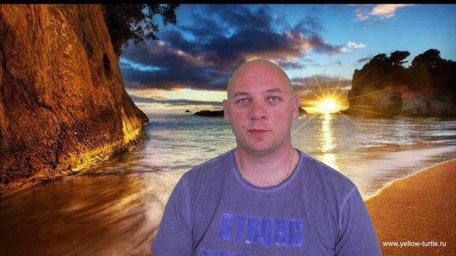 Фотоаппарат или видеокамера для съемки видео?