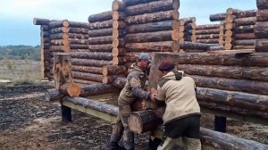 Сборка сруба из бревна