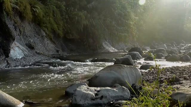 5 часов расслабляющих звуков реки - Звуки горной реки для расслабления, сна, медитации смотреть онлайн