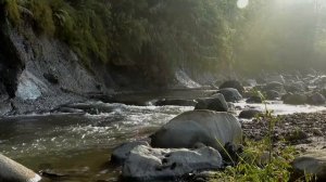 5 часов расслабляющих звуков реки - Звуки горной реки для расслабления, сна, медитации