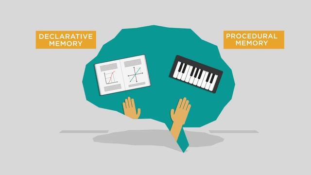 The benefits of a good night's sleep - Shai Marcu смотреть онлайн