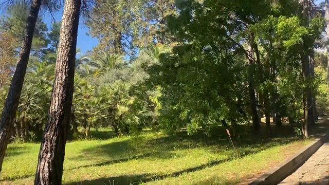 Дендрарий. Сочи 2021. смотреть онлайн