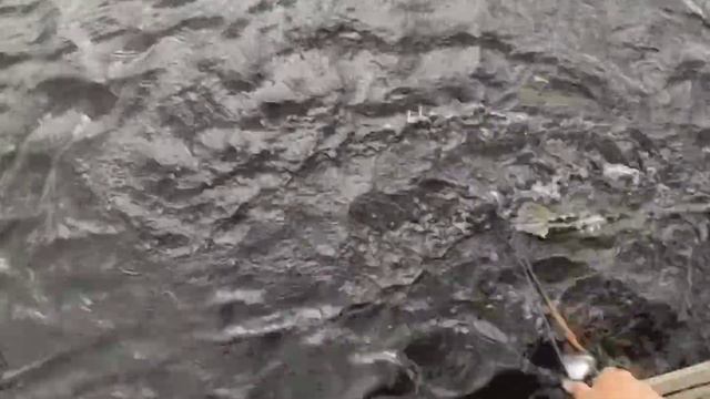 Pescaria, na comunidade do Pinin. смотреть онлайн