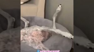 Не Спать! Супер фитнес мотивация!