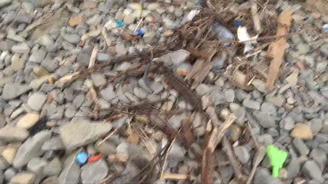 Анапа обзор дикого пляжа 2023 под спуском к морю 300 ступенек смотреть онлайн