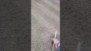 Мини завод по производству гранулированного комбикорма