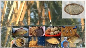 Как и где ловить карася в мае с берега на поплавочную удочку? Майский жор карася!