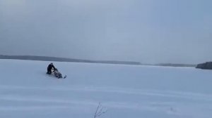 Arctic cat . прыжок,Вид с боку 16:02:2019