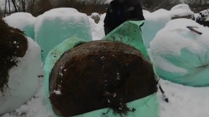 Что лучше Сено или Сенаж?Решайте сами!Сезон 2020г