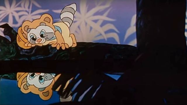 Крошка енот.Baby raccoon.