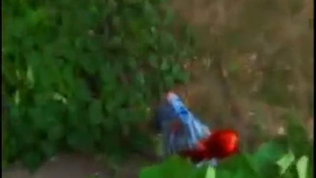 Семейная идиллия смотреть онлайн