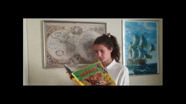 Экологи.mov