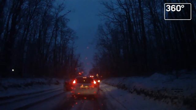 грибы гармошка смотреть онлайн