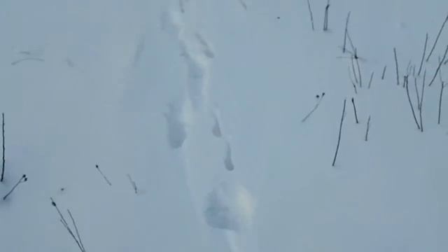 Следы на снегу 02 смотреть онлайн