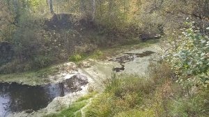 Сибирская таежная речка. Красота Сибири.