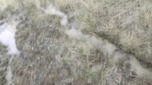 Учет медведя весной или прогулка смотреть онлайн