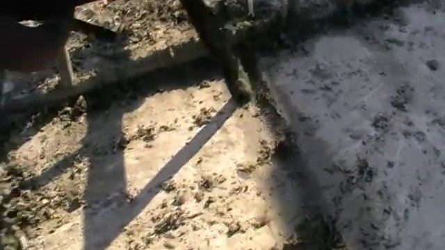 арболитосмеситель
