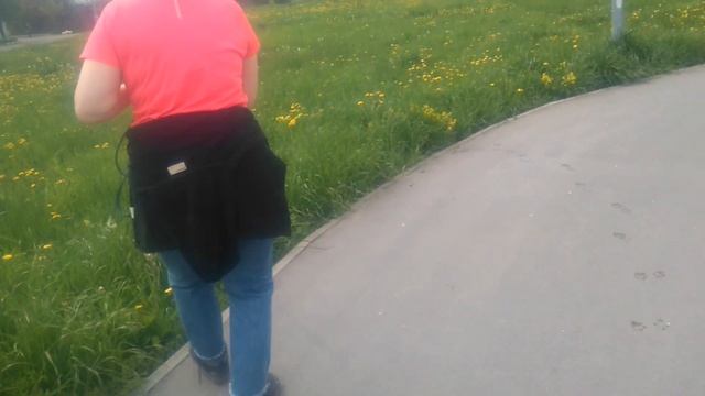 Дрессировка собак. Преодоление страха, учимся управлению собакой. смотреть онлайн