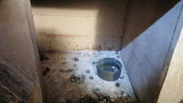 ЗИМНЕЕ КОРМЛЕНИЕ ГОЛУБЕЙ@Спортивные голуби Магнитогорска смотреть онлайн