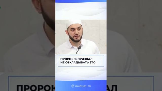 Помощник Муфтия Дагестана Идрис Асадулаев (@idris_asadulaev). смотреть онлайн