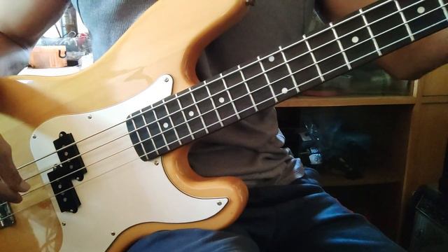 Wilkinson Japan P Bass Alnico V Pickup смотреть онлайн