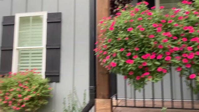 Supertunia Vista Window Boxes Labor Day Update смотреть онлайн