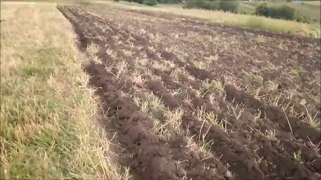 Саморобний двохкорпусний плуг до мототрактора.....ВИПРОБУВАННЯ смотреть онлайн