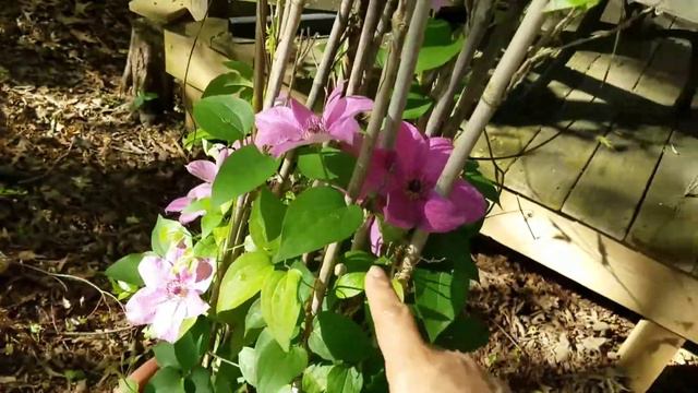 I have a dream, lets hope it happens. It was a Failure смотреть онлайн