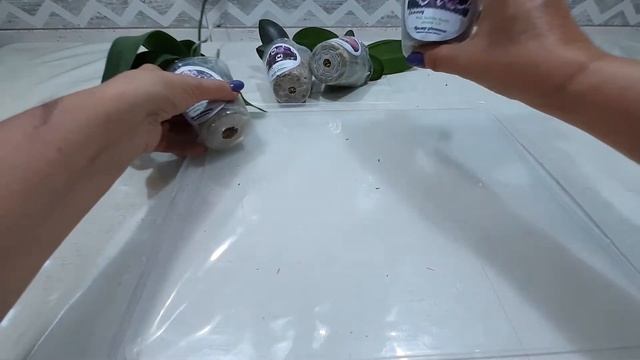 Уход за азиатскими орхидеями.