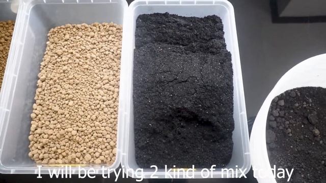 Plant Diary #7: Nagtry ako ng bagong mix for my new Haworthia смотреть онлайн