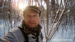 Охота на зайца с РГ Вьюгой. Натаска в 6 месяцев.