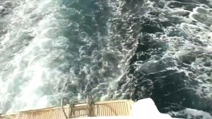 Moon Light (music video)