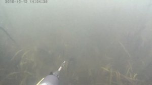 Здесь рыбы нет... Река Ворона Тамбовской области