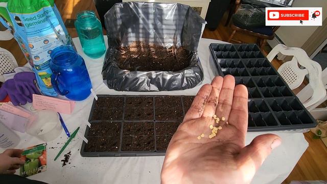 2023 Garden Seed Starting/Planting Herbs/Peppers/Flowers/Ornamental Grass/How to get started. смотреть онлайн
