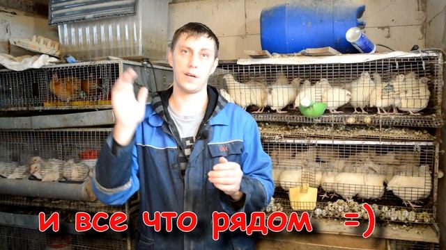 Кому Индюков Хайбридов в ЗИМУ??? смотреть онлайн