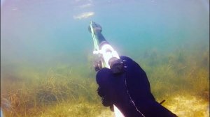 Охота на осеннего Пиленгаса 2021