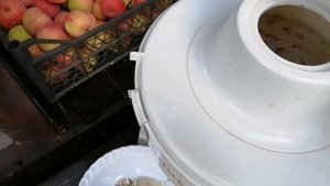 Соковыжималка для яблок, соковыжималка Дачница,