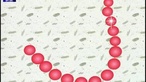 Азбука Малышка. Тетушка Сова. буква Б