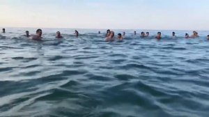 Вадим Шишкин | Пластика на земле и в воде или бодрое утрое с Клубом М.С. Норбекова в Болгарии!
