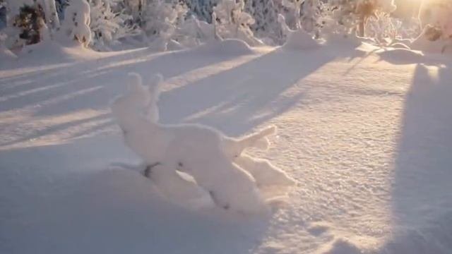 Ведическая мантра о защите – ученики Джагад-гуру Сиддхасварупананда Парамахамса (Крис Батлер)