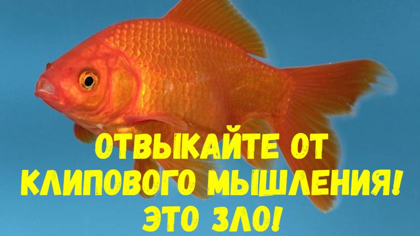 Клиповое мышление - это зло! Отвыкайте!