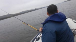 Ривьера 3400 ск компакт  hidea 9.9