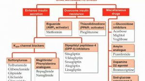 PHARMACOLOGICAL CLASSIFICATION OF DRUGS